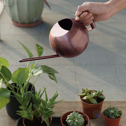 Stainless Steel Watering Can, 1L