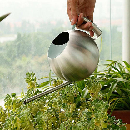 Stainless Steel Watering Can, 1L